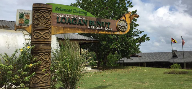 Loagan Bunut National Park